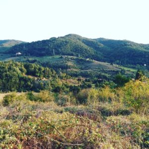 Camminare nel Chianti