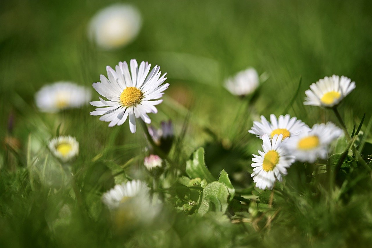 mercoledì 8 aprile